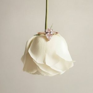 ROSIE BAGUE